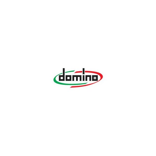 Domino