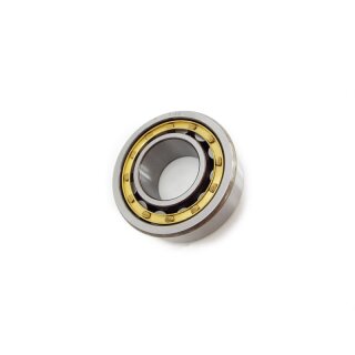 Magneto side bearing DL/GP