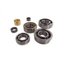 Engine bearing set SCOOTOPIA DL/GP