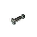 Leverpivot pin MMW mastercylinder