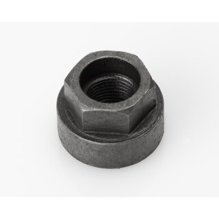 Flywheel nut Li/SX/TV