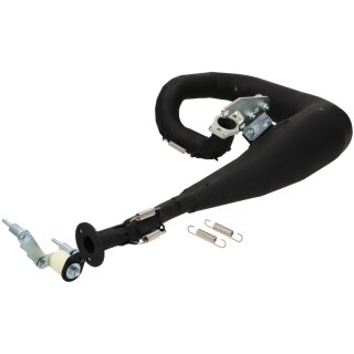 Auspuff -BGM PRO MZ30 Franspeed by Andy Francis Scooters-  Serie 3/DL/GP