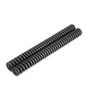 Progressive fork spring set Series 1-3/DL/GP