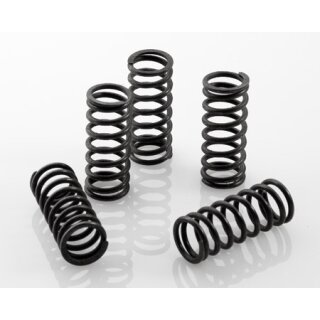 Clutch springs standard Series 1-3/DL/GP