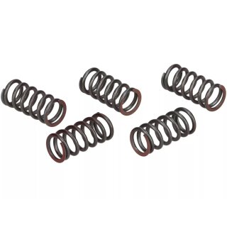 Clutch spring set (reinforced) -BGM PRO- Lambretta LI, LI S, SX, TV (series 2-3), DL/GP - (5.5 spring coils, elastic constant=13.8)