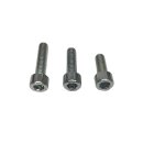 Allen key screw M4x80 (zinc)