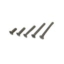 Raised countersunk screw M5x45 (stainless)