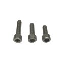 Allen key screw M4x55 (stainless)