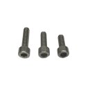 Allen key screw M4x80 (stainless)