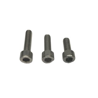 Allen key screw M6x25 (stainless)