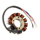 Zünd-/Lichtspulen VAPE (AC-DC/110 Watt/9 Spulen/5...