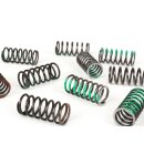 Clutch spings "BGM PRO" Series 1-3/DL/GP green