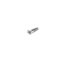 Screws for lightswitch Series 1-3/DL/GP (zinc)