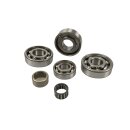 Engine bearing set "JBS" Lui/J50 (ball bearing...