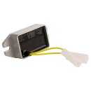 Spannungsregler VAPE 12V/80W AC