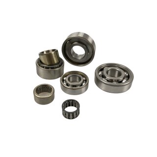 Engine bearing set "JBS" Lui/J50 (needle bearing version)