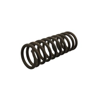 Rear spring J50-125