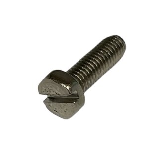 Screw with slot M5x16 (stainless)