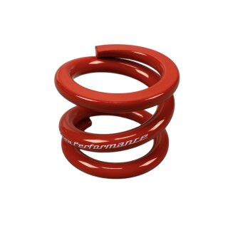 Drive assembly/cush drive spring  ""Casa-Performance" Series 1-3/DL/GP