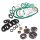 Engine oil seal, bearing & gasket set DL/GP