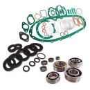 Engine oil seal, bearing & gasket set Li/SX/TV2-3