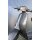 Vespa V50 Special