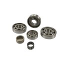 Engine bearing set "JBS" Lui/J50 (with roller...