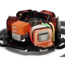 Stator plate "BGM BGM ProRev" AC" 12 Volt electronic
