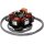 Stator plate "BGM BGM ProRev" AC" 12 Volt electronic