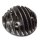 Zylinderkit "Scootopia 185ccm" Serie 1-3/DL/GP 125-175