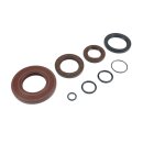 Oilseal set "FKM/Viton®*" J100-125 (3 speed)