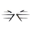 Sidepanel flashes Royal-Alloy GP125-350 (SE) -chrome-