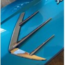 Sidepanel flashes Royal-Alloy GP125-350 (SE) -chrome-