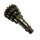 Gear cluster AF Rayspeed "Close Ratio" Series 1-3/DL/GP